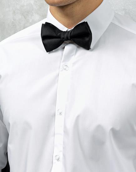 Bow Tie