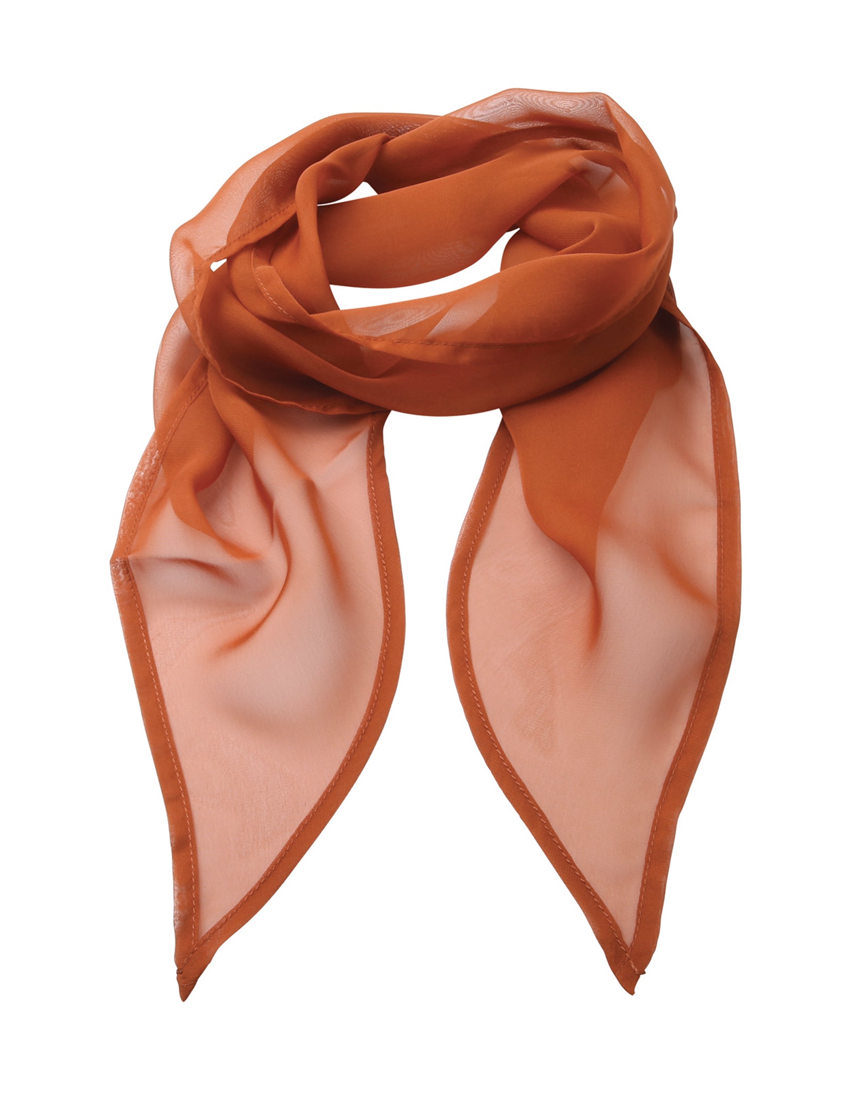 Chiffon Scarf